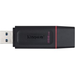 PEN DRIVE 256GB KINGSTON...